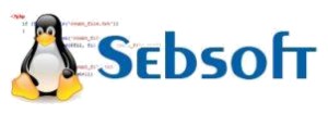 Logo sebsoft steenbergen