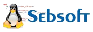 Logo sebsoft steenbergen